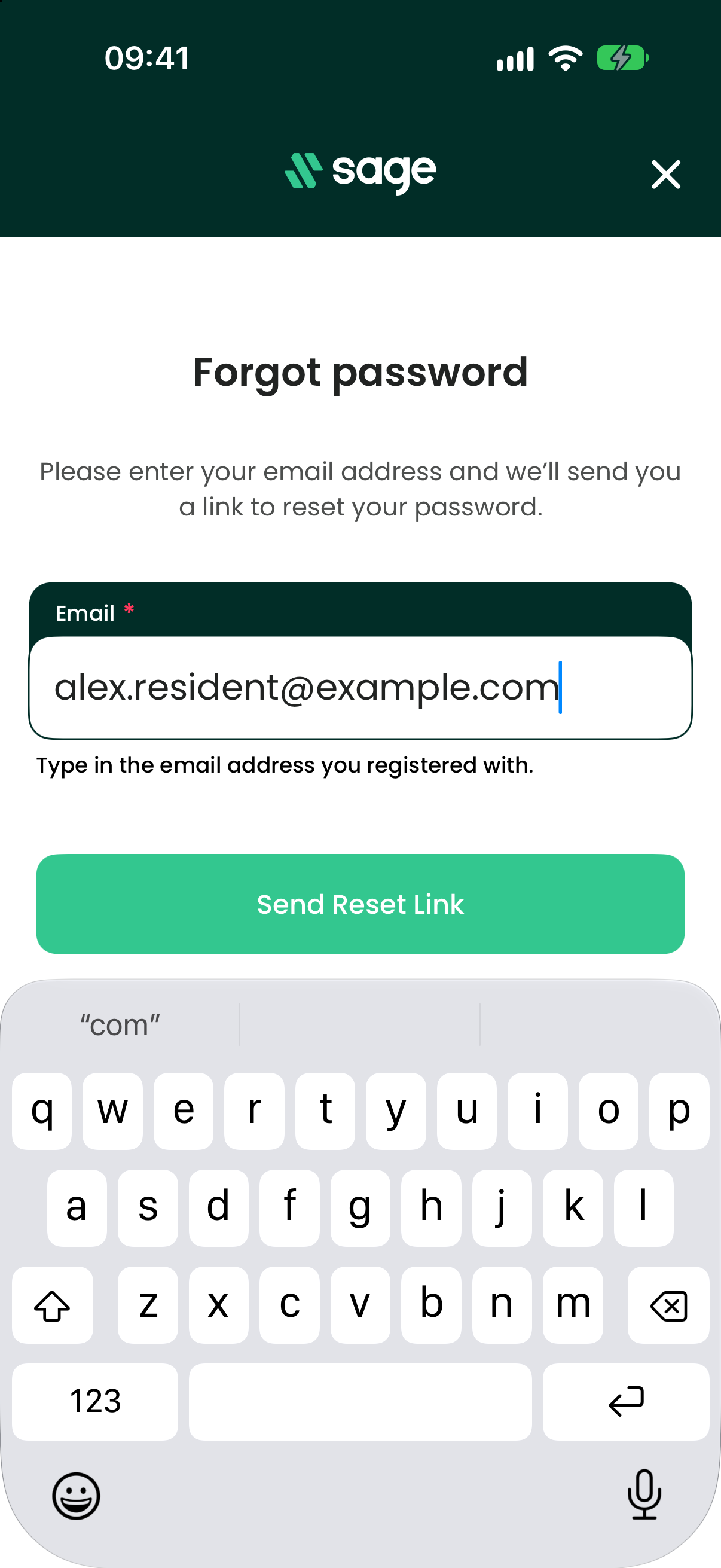 The Forgot password screen with an email field and a Send Reset Link button.